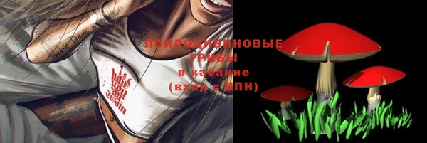 ALPHA-PVP Алексин