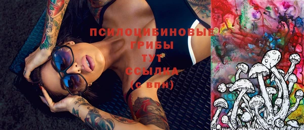 индика Алексеевка