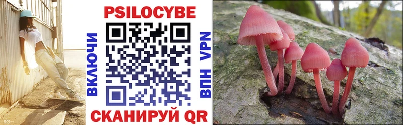 Галлюциногенные грибы мухоморы Бокситогорск